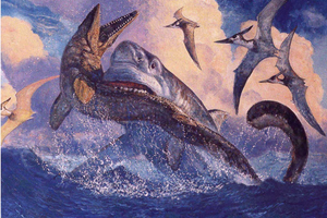 12 mythes sur les requins. Lesquels sont vrais ?