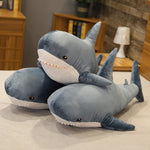 Peluche Requin