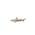 Figurine Requin Bordé