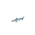 Figurine Requin Peau Bleue