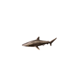 Figurine Requin Soyeux