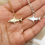 Collier Petit Requin