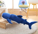 peluche requin baleine bleu