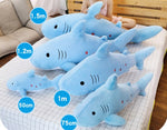 Peluches bleus Requin Etoiles différentes tailles