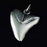 Pendentif Dent de Requin en Argent sur fond noir