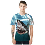T-Shirt Requin Sang