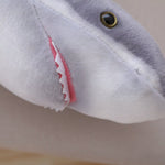 Peluche Grand Requin Blanc tête