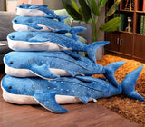 peluche requin baleine tailles