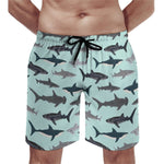 Short de bain Requin turquoise