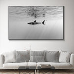 Tableau Requin Noir et Blanc horizontal