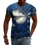 T-Shirt Requin Banc de Poissons