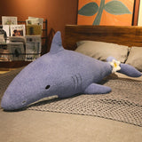 Peluche requin Bleu sur canapé