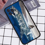 Coque Requin Montagne