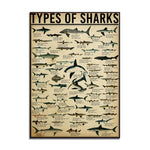 Tableau - Types de Requins
