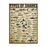Tableau - Types de Requins