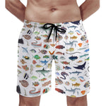 Short de bain Requin Faune Marine