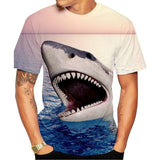 T-Shirt dents de requin