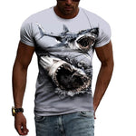 T-Shirt gris Requin