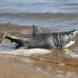 Figurine Mégalodon - Mangeur de Dauphin mer