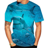 T-Shirt Requins