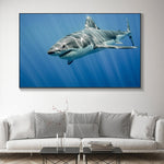 tableau grand requin blanc dans salon