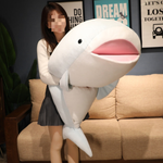 Peluche Requin Mignon bleu dans les bras d'une femme