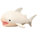 Peluche Requin Mignon sur fond blanc